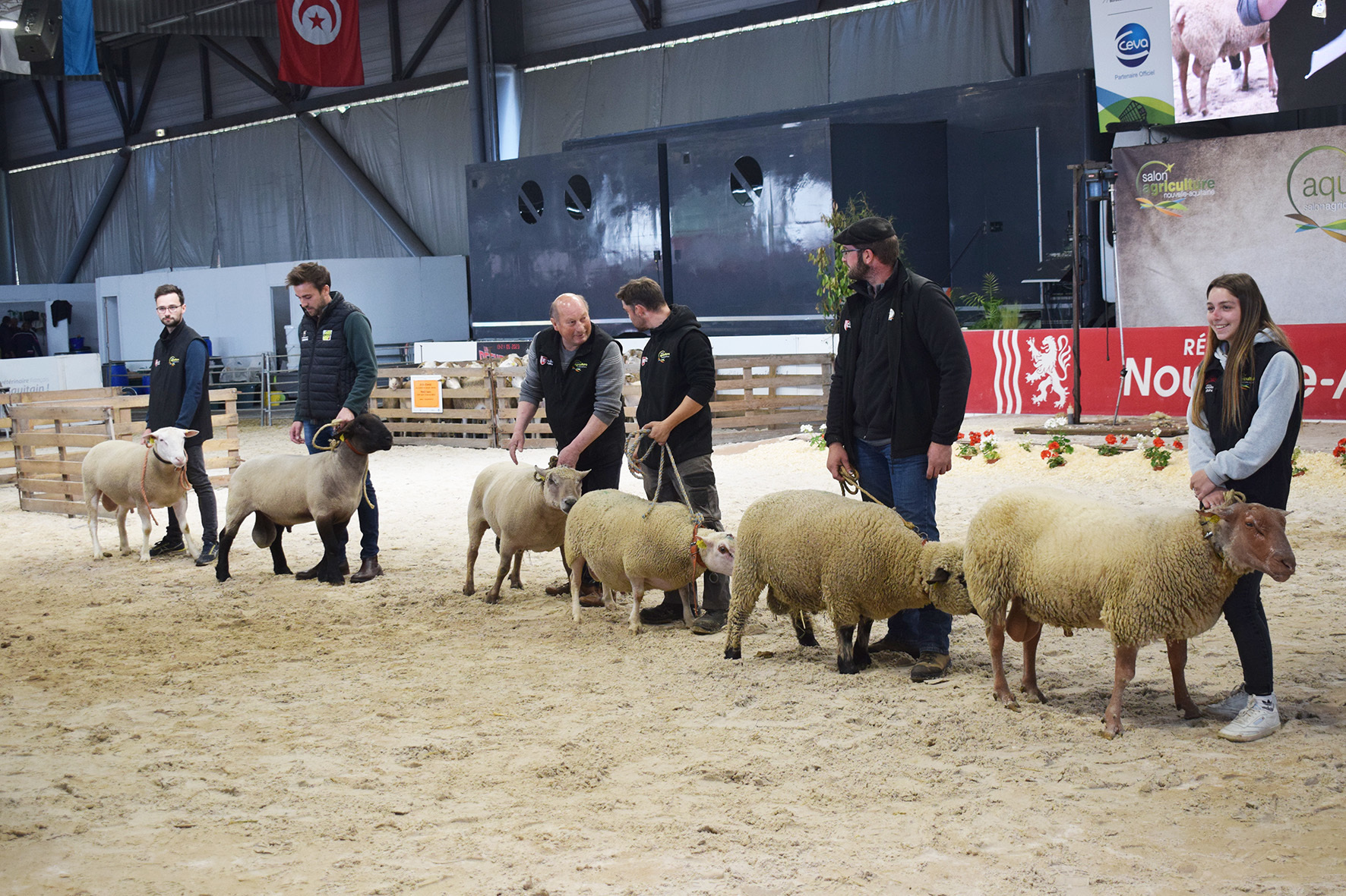 La filière ovine à l'attaque