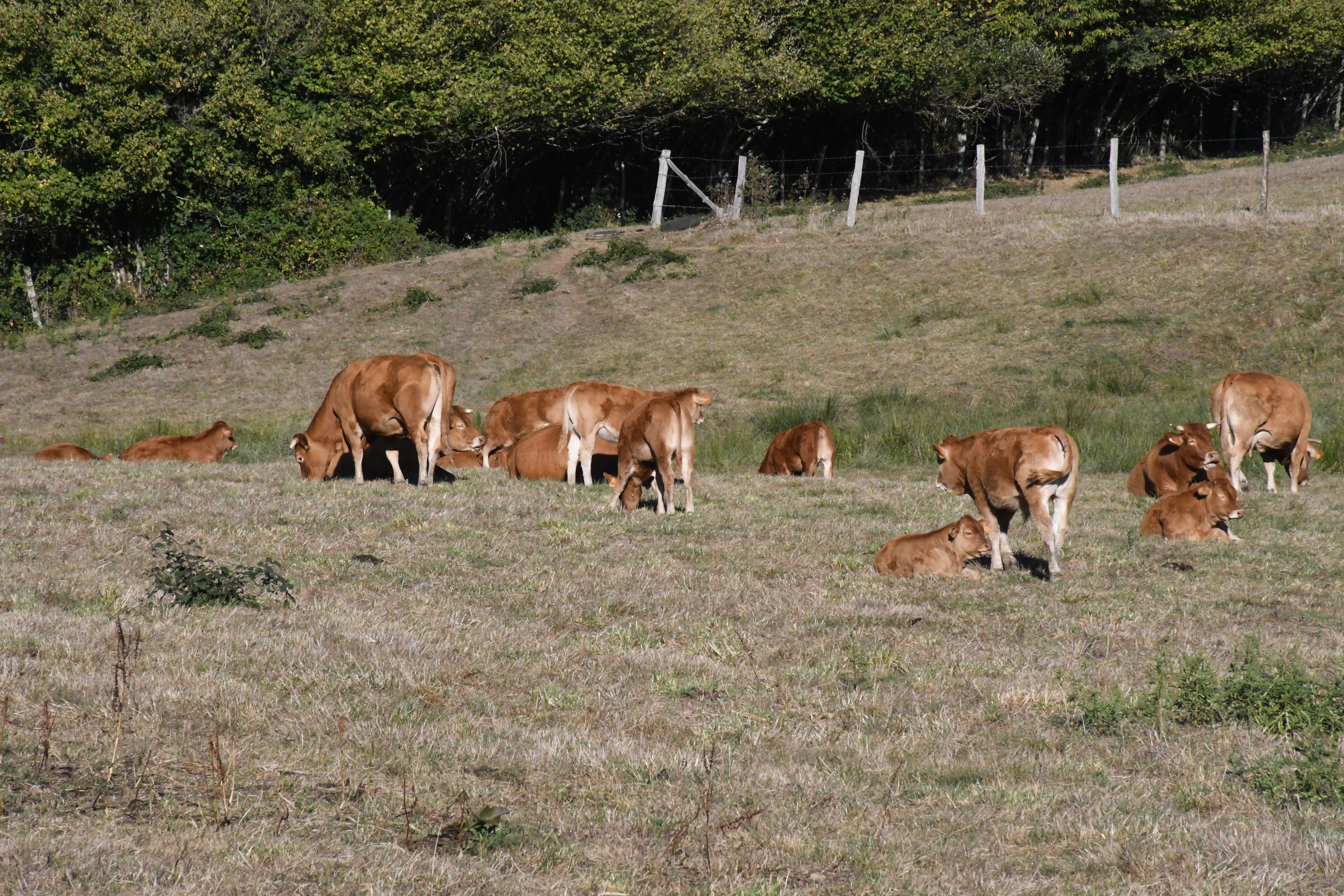 La Région veut définir l'agroécologie