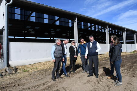 Des vaches, des chevaux et du soleil