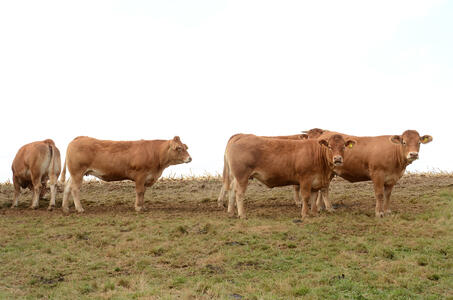 Moussours ouvre ses portes