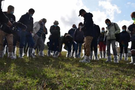 Retrouver des prairies productives