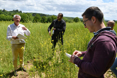 La moutarde bio, une niche