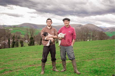 Pays basque et dynamique agricole