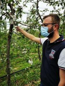 De la pomme, de l'eau et du miel