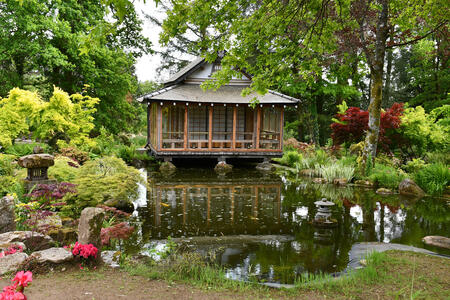 Un jardin japonais incroyable