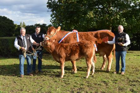 Palmarès du concours limousin au Sommet