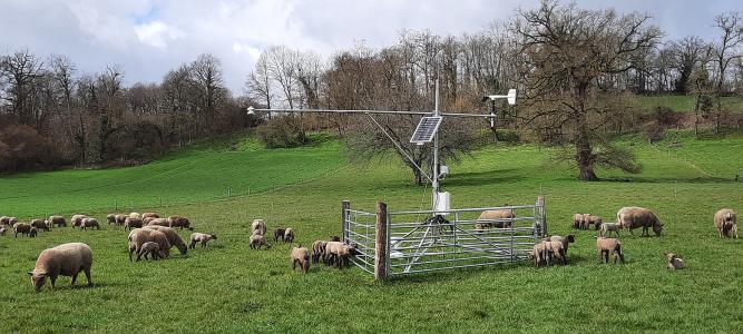 La ferme du Mourier au centre d'essais