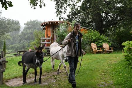 À Vassivière, les ânes sont rois