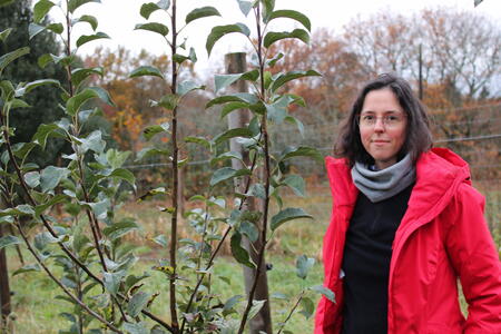 La femme qui plantait des arbres