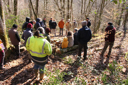 Comment gérer sa forêt autrement