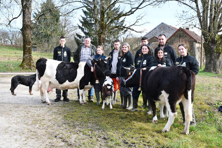 Une petite vache qui fédère