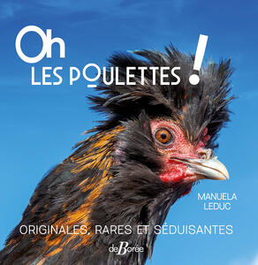 Mieux connaître les poules