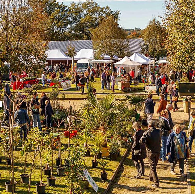 LES AMIS DES FLEURS DE SAINT JUNIEN A5 RECTO OCTOBRE 2022 MAIRIE