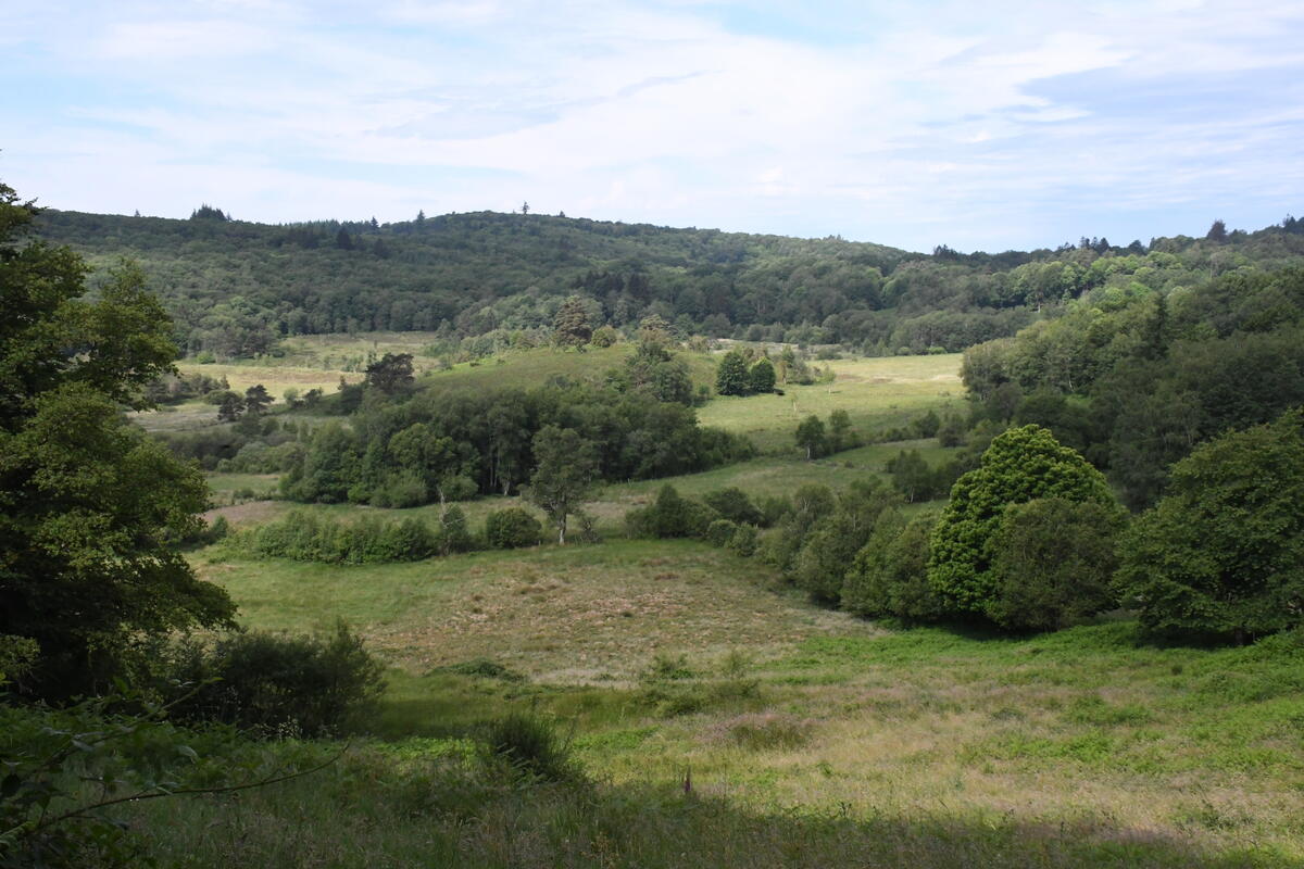 L'appli Haute-Vienne Explore Games dans la tourbière des Dauges.