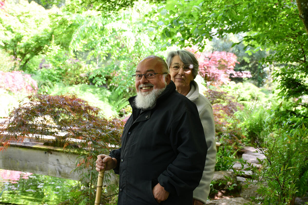 La maison à thé est le clou du jardin japonais. Elle surplombe l'un des plans d'eau où évoluent quelques carpes coys. 