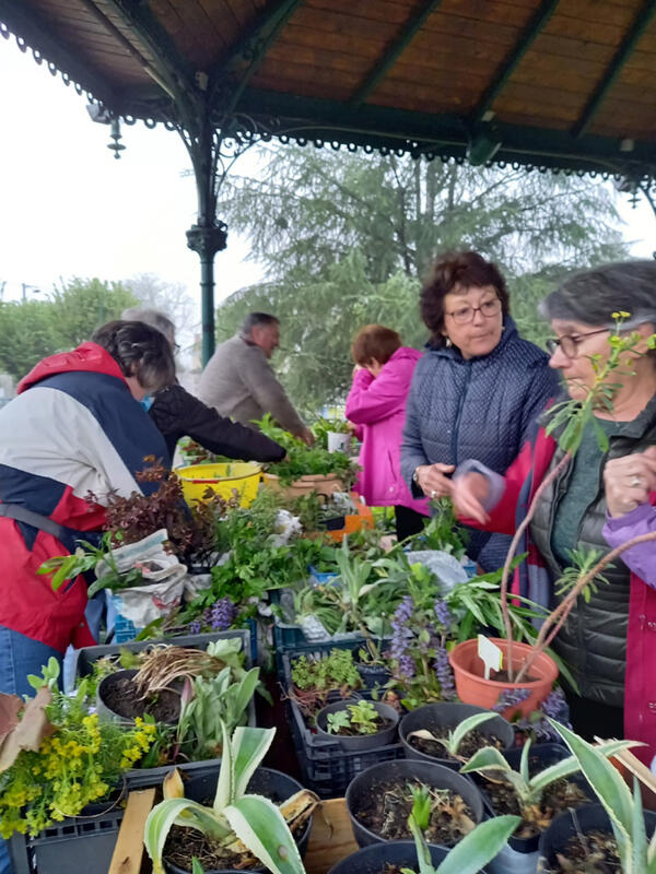 5e édition de la fête des plantes à Saint-Junien. 