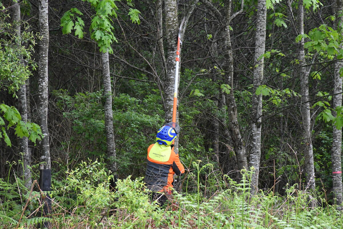 Une bonne cinquantaine de personnes a participé à la visite de chantier forestier organisé par Unisylva.