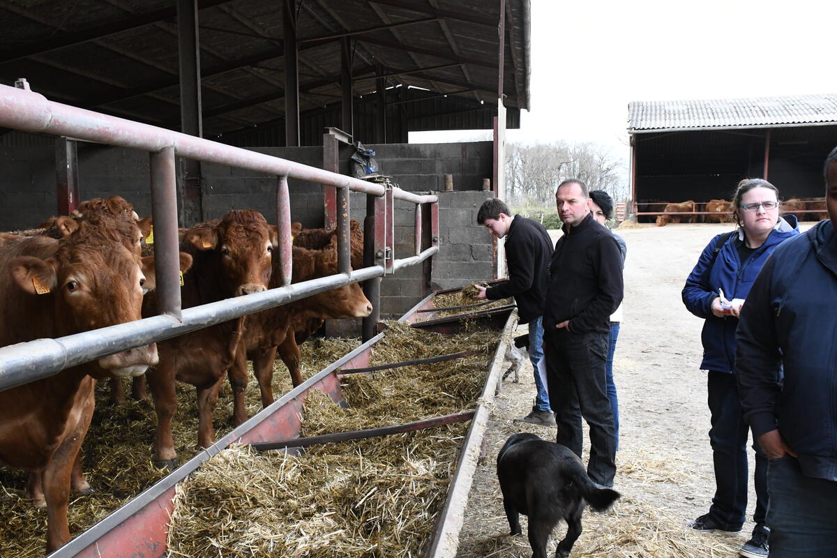 Le groupe bas carbone s'est retrouvé sur la ferme de Lætitia et Marc Bourry, à Saint-Martial-le-Mault.