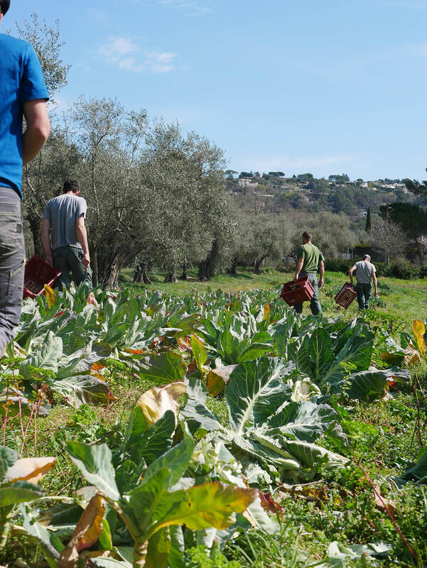 La ferme dans le guidon