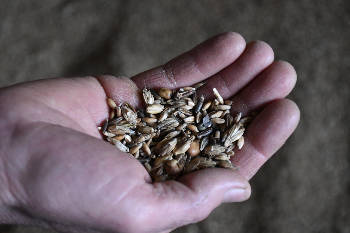 Marc Bourry privilégie les ensilages d'herbe, les méteils et tout ce qui favorise l'autonomie alimentaire.