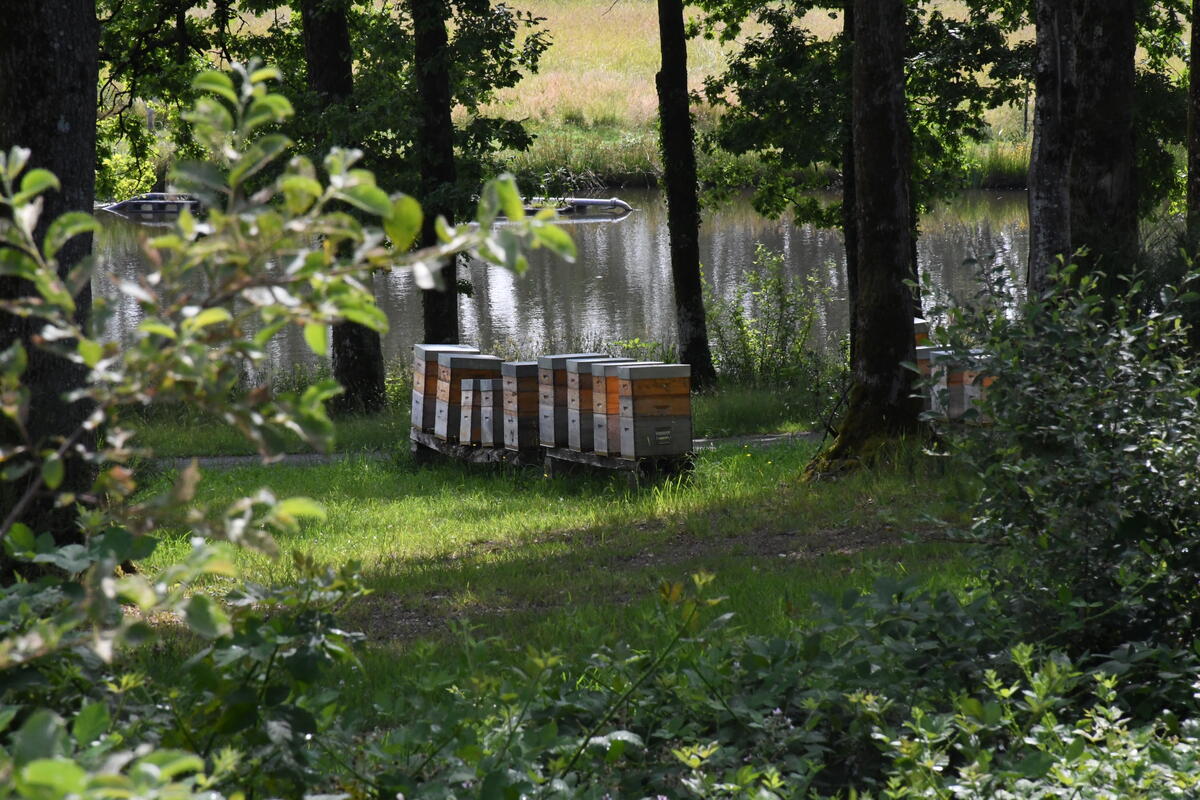 L'accès à l'eau, essentielle en arboirculture, est lo'bjet des préoccupations majeures des agriculteurs.